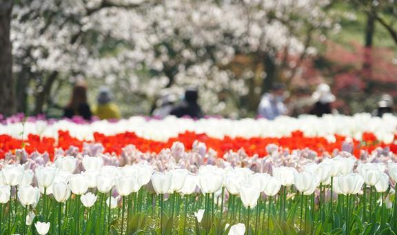 的旅行地私藏着杭州最美春色4月来正适合AG真人游戏平台入口杭州这2个颜值颇高(图4)