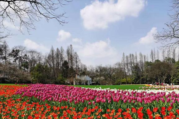 的旅行地私藏着杭州最美春色4月来正适合AG真人游戏平台入口杭州这2个颜值颇高(图2)